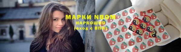 гидропоника Бугульма