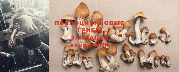 спайс Бородино