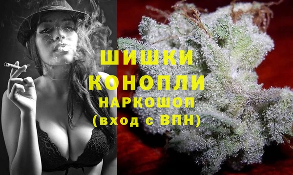 спайс Бородино