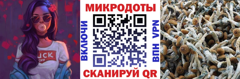 хочу   Карачаевск  Галлюциногенные грибы MAGIC MUSHROOMS 