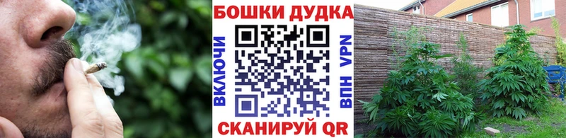 цена   OMG онион  Каннабис марихуана  Карачаевск 